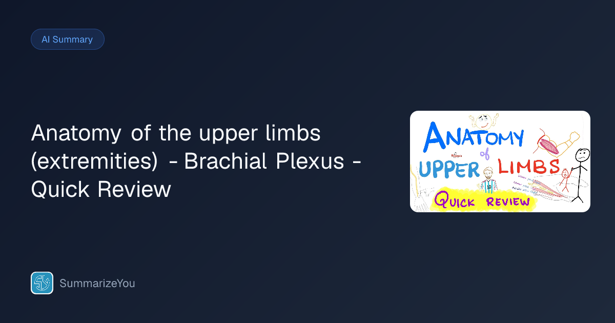 Resumen de Anatomy of the upper limbs (extremities) - Brachial Plexus ...