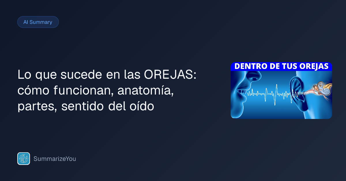 Résumé de Lo que sucede en las OREJAS: cómo funcionan, anatomía, partes ...